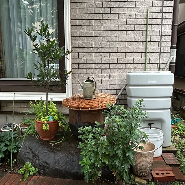 botanさんの実例写真