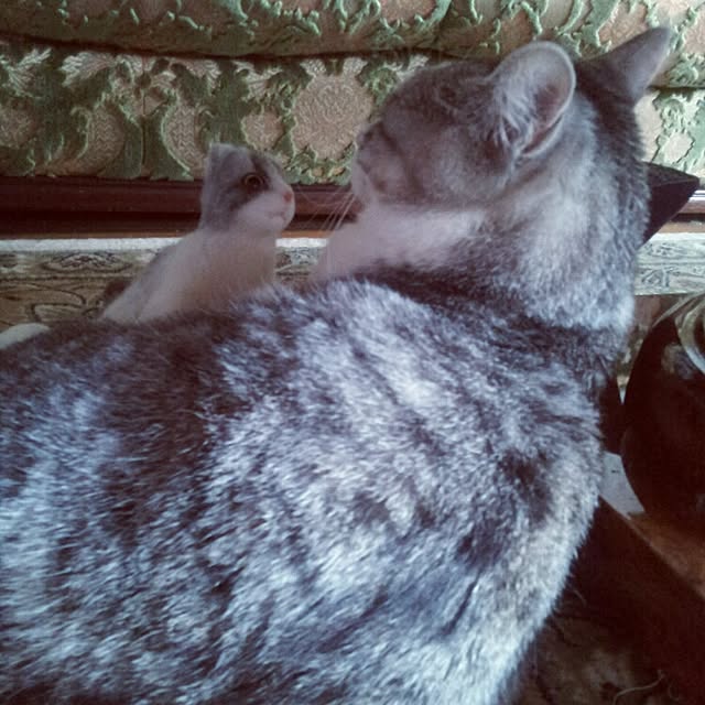 emmyyさんの実例写真