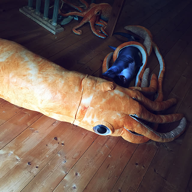 .さんの実例写真