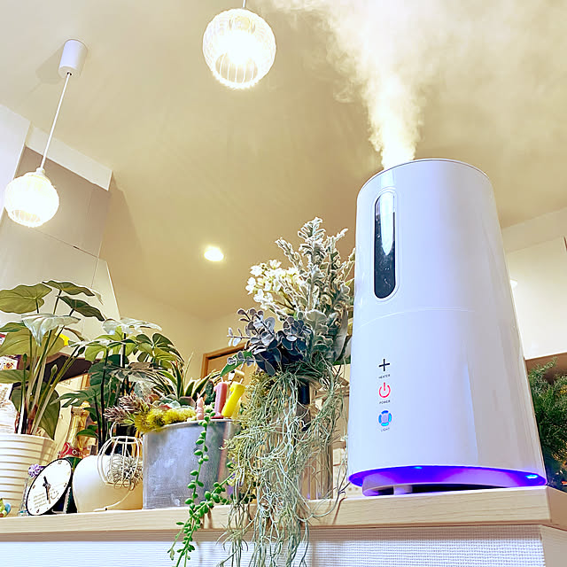 キッチンカウンター/ペンダントライト/加湿器/花に囲まれて暮らす/ダイソー...などのインテリア実例 - 2021-11-24 22:24:13
