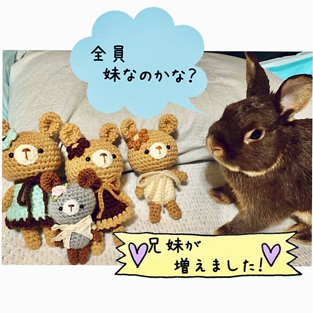 mo-nosukeさんの実例写真