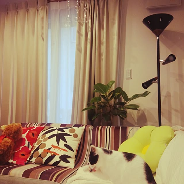 botanさんの実例写真