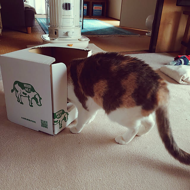 fukuさんの実例写真