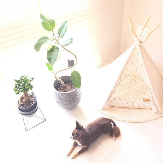 M.H.Lさんの実例写真