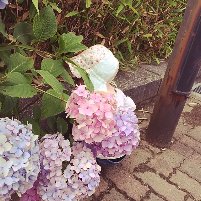 cocomamaさんの実例写真