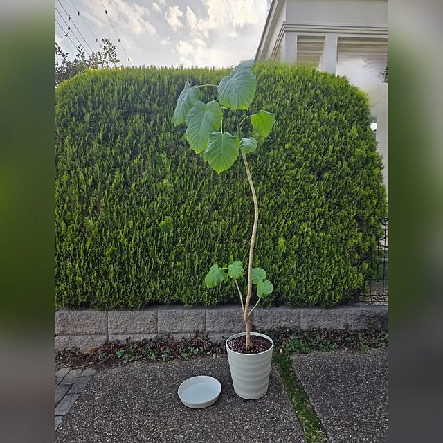 MARIE.color.interiorさんの部屋