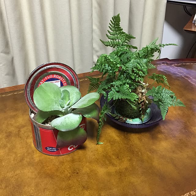 tsuyopipさんの実例写真