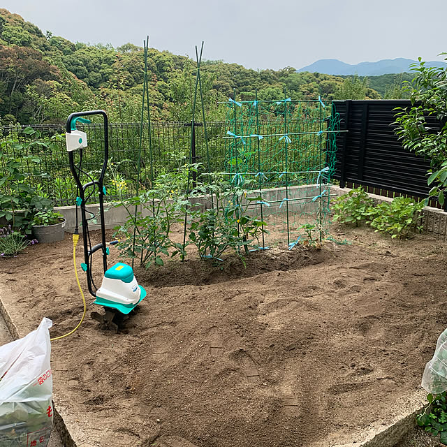izuさんの実例写真