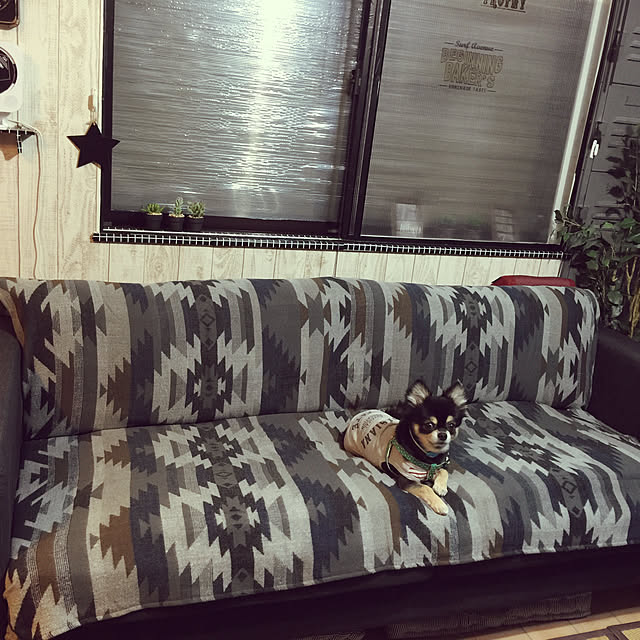 Ayaさんの実例写真