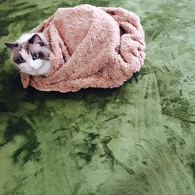mimimillyさんの実例写真