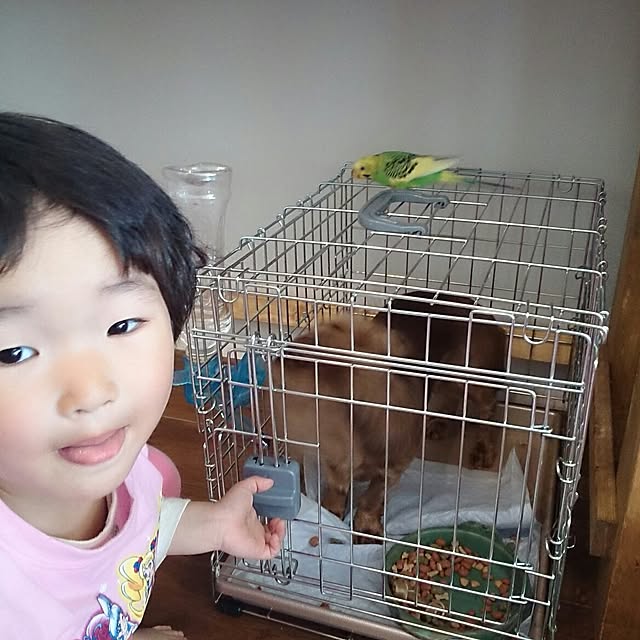 keroseneさんの実例写真