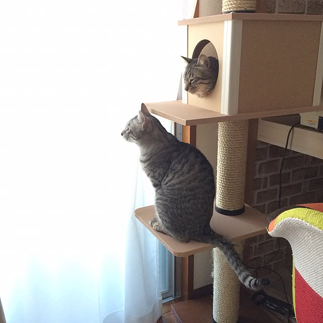 Esunoさんの実例写真