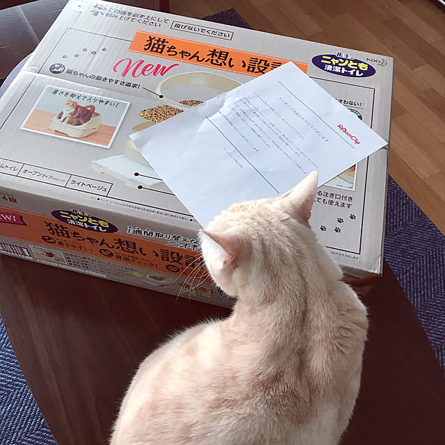 hiyupan88さんの実例写真