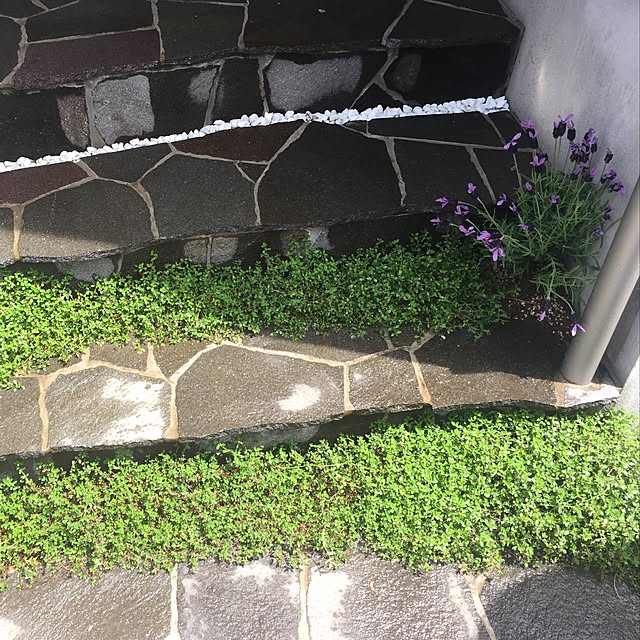 sasatomoさんの実例写真