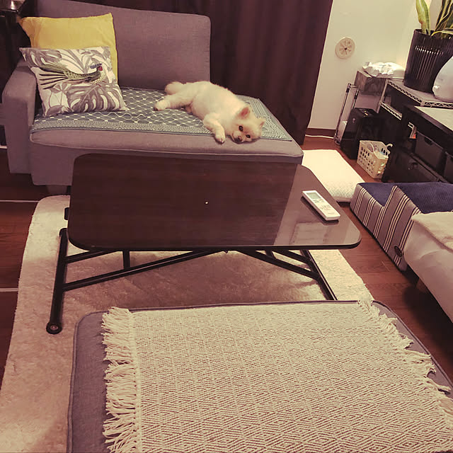 sacchiさんの部屋