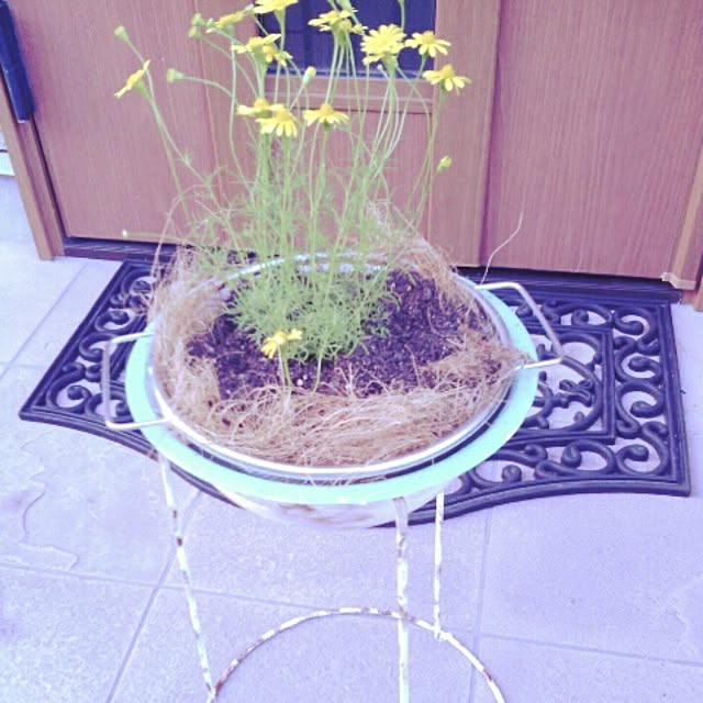 akr29さんの実例写真