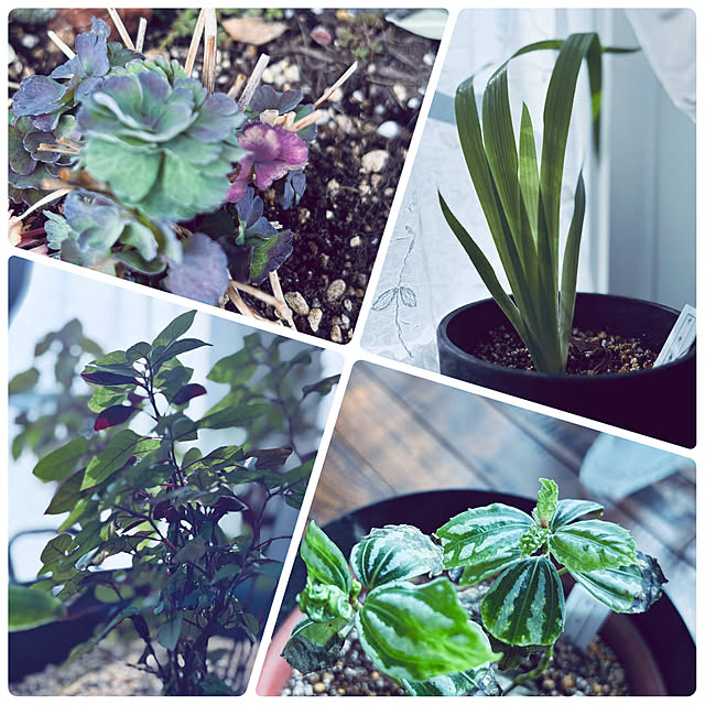 usagiさんの部屋