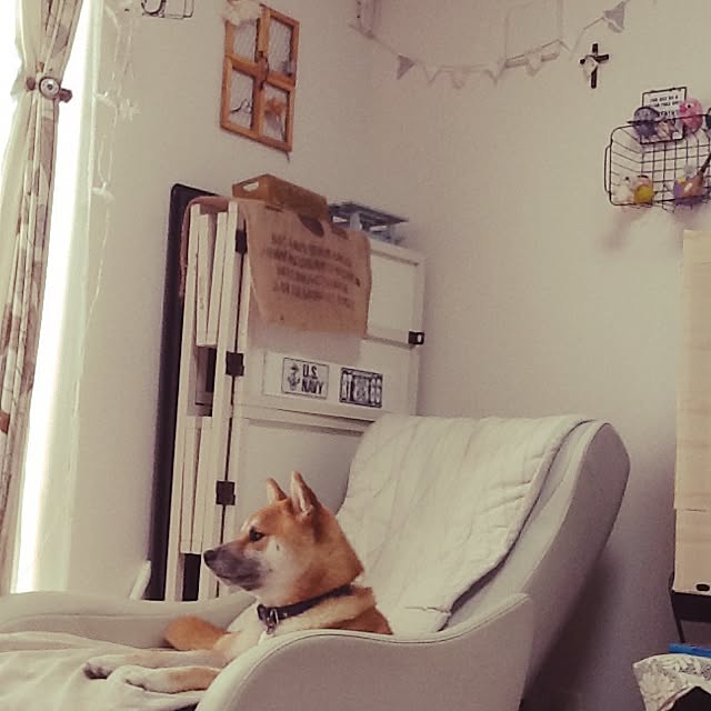 kotaさんの実例写真