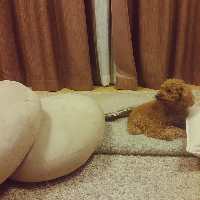 hiroさんの実例写真
