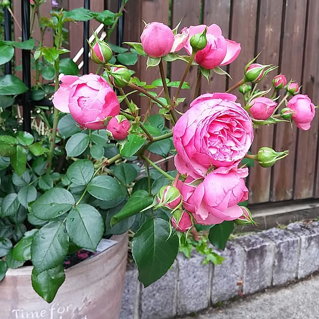 demetanさんの実例写真