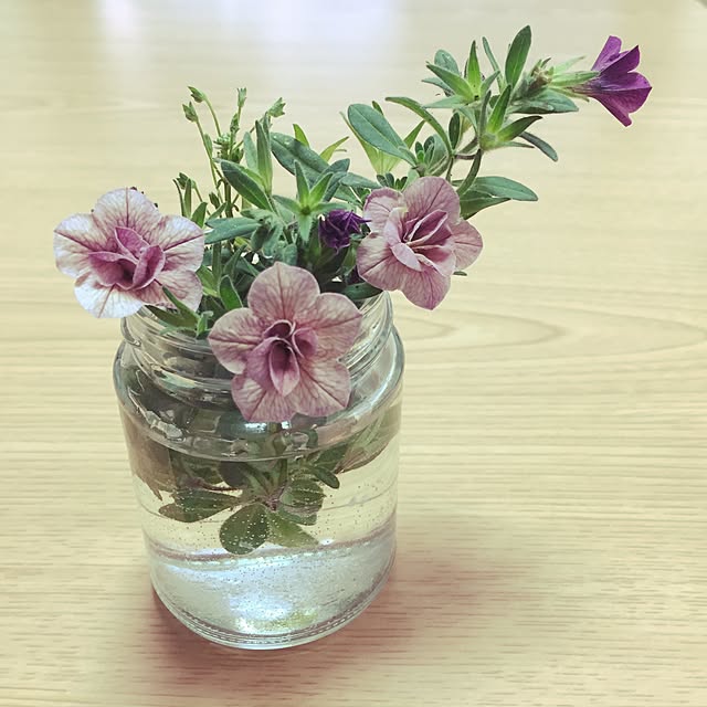 実例写真