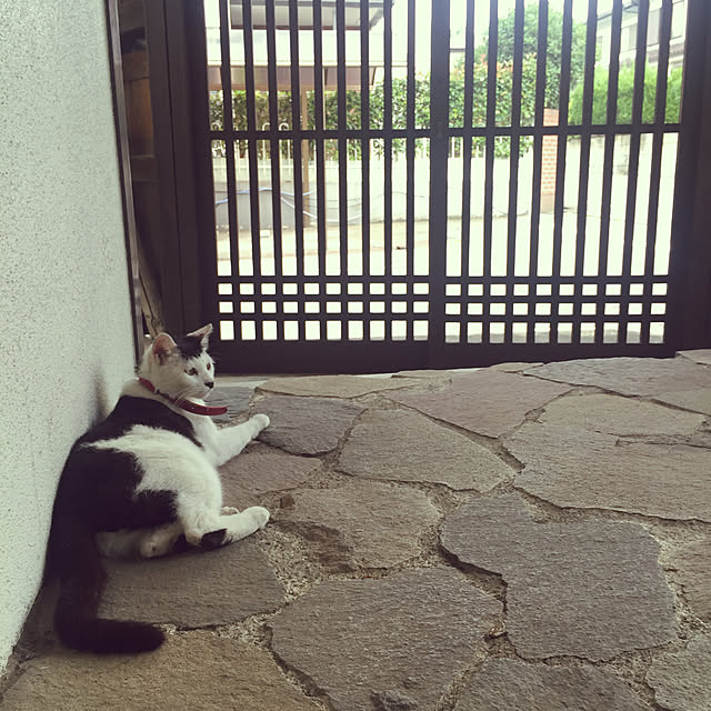 PEさんの実例写真