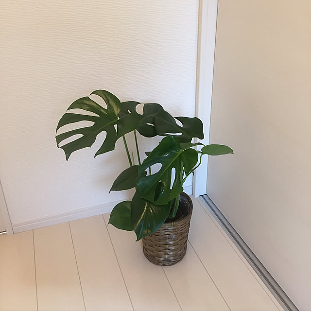 tejyaさんの実例写真
