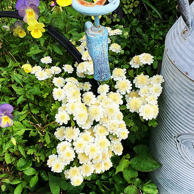 taeさんの部屋