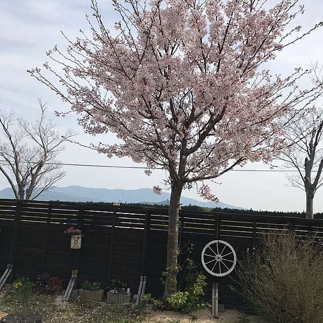 hachi1023さんの部屋