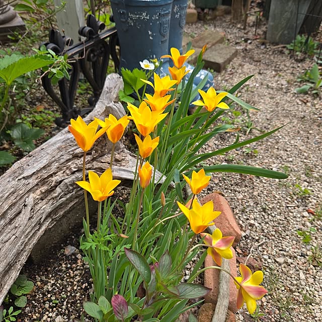 min_nimさんの実例写真