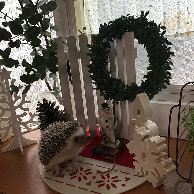 RURULOVEさんの実例写真