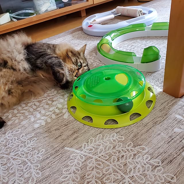 makoさんの部屋