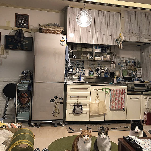 mikenekoさんの実例写真