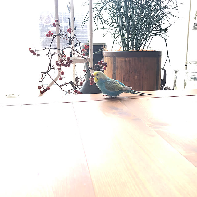 ponponHOUSEさんの実例写真
