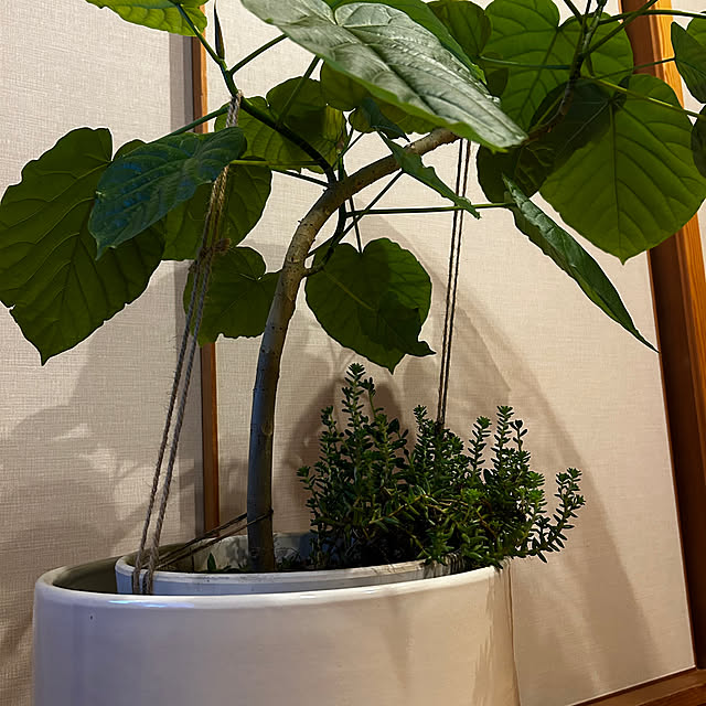 botanさんの部屋