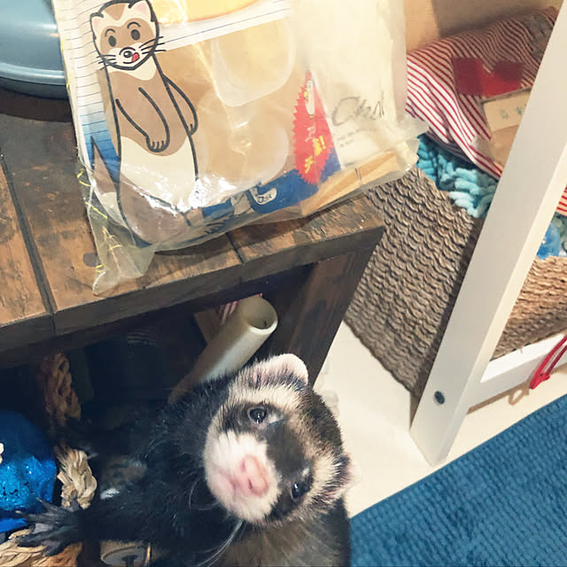maruさんの実例写真