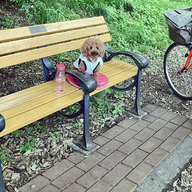 MOMOMAMAさんの実例写真