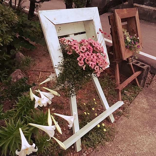 cocoithuさんの実例写真