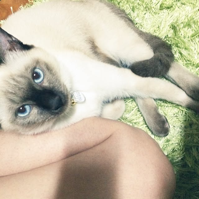 MAKOさんの実例写真