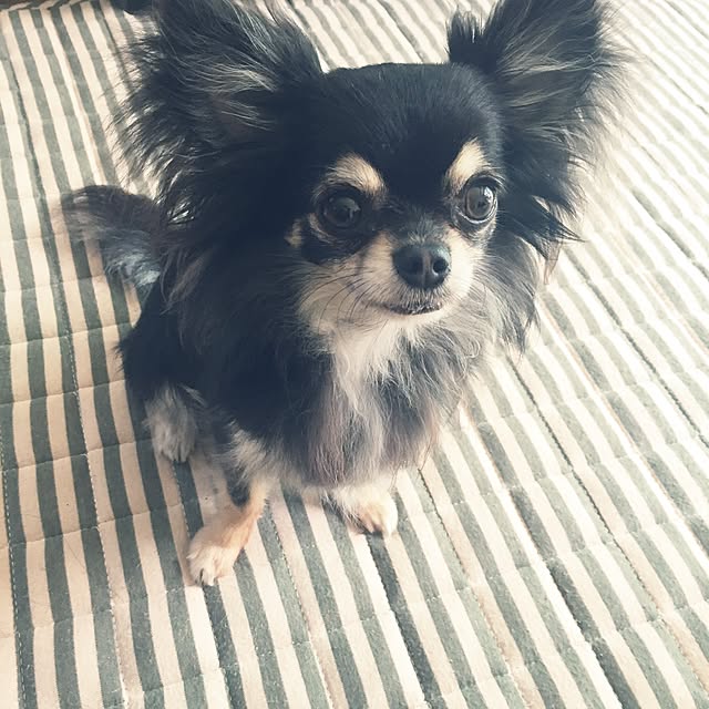 YukiYukiさんの実例写真