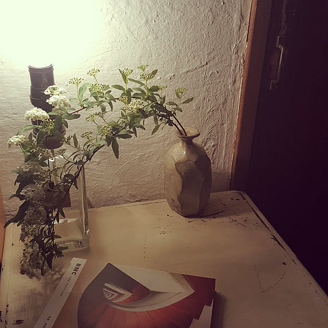 nokiさんの実例写真