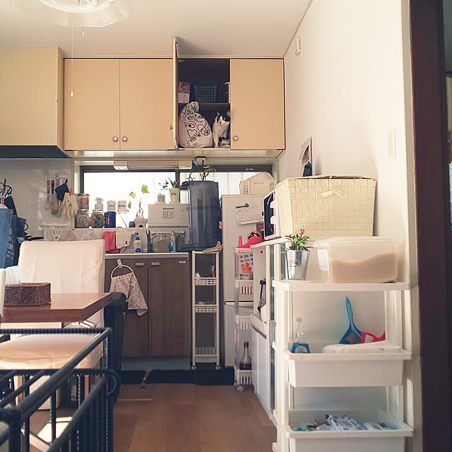 oseroさんの実例写真