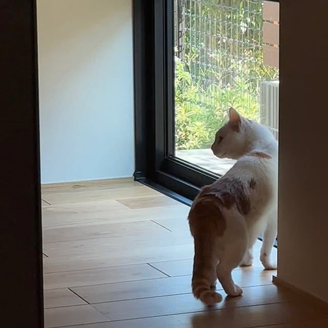 Minaさんの部屋