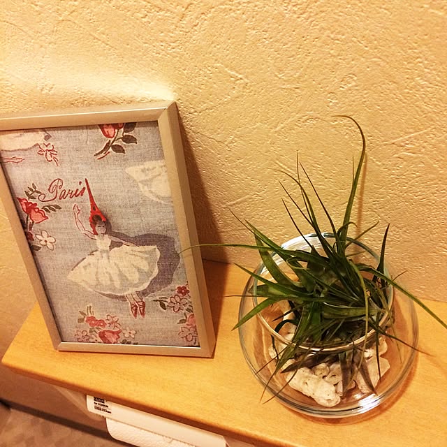 バス/トイレ/植物/100均のインテリア実例 - 2016-03-30 11:11:47
