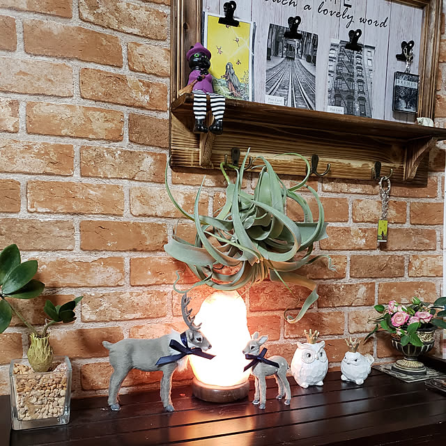 mistycatさんの実例写真