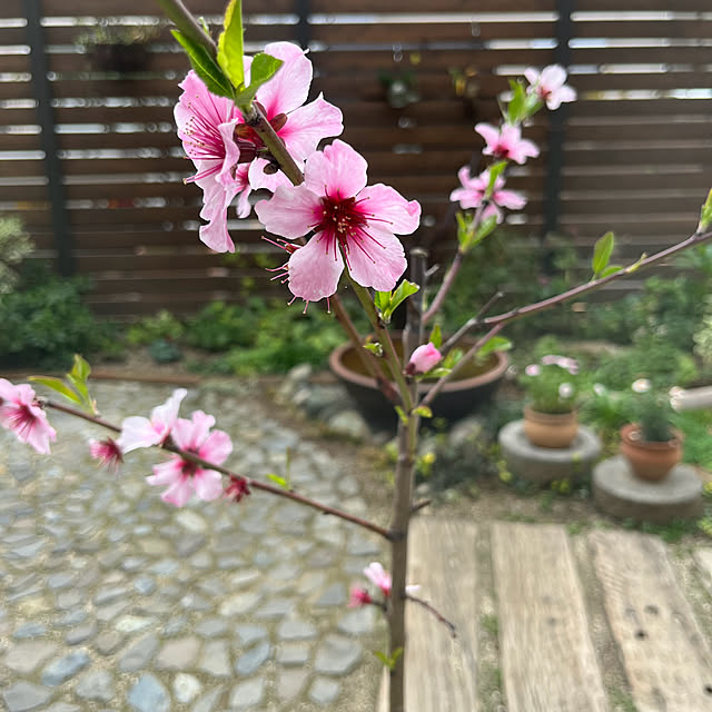 kuuさんの部屋
