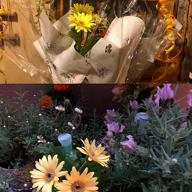 Ikuko.kimuさんの実例写真
