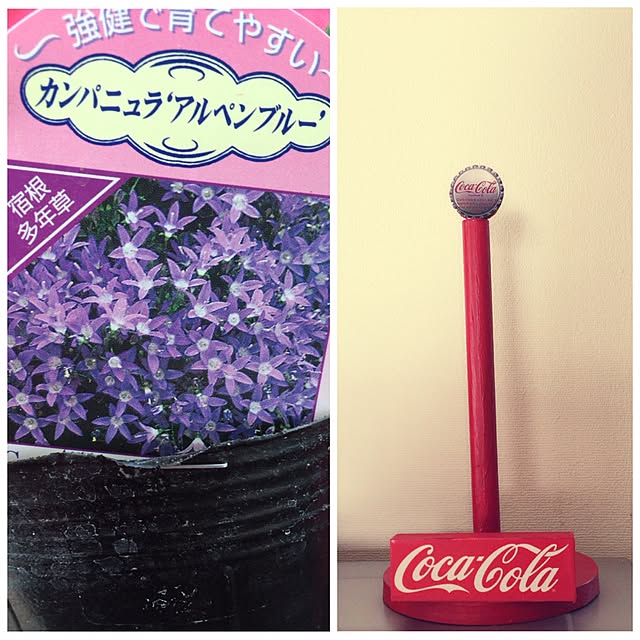 kaorinさんの実例写真