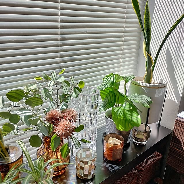 jinさんの部屋