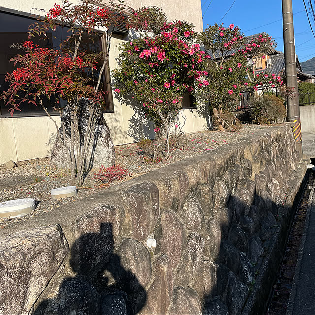 shin0719さんの実例写真